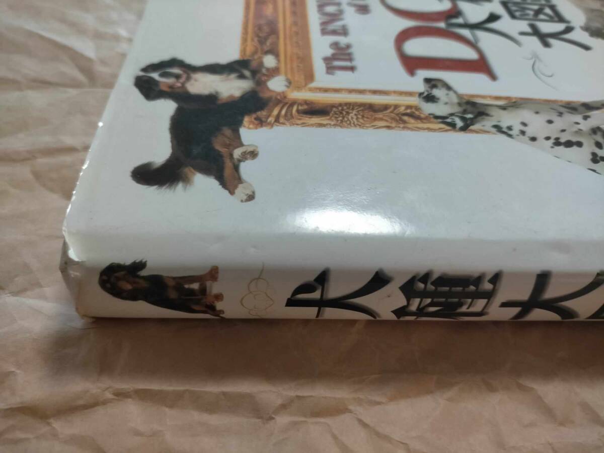犬種大図鑑 ブルース・フォーグル 犬 いぬ イヌ 図鑑 辞典 犬種大図鑑 ブルース・フォーグル 犬 いぬ イヌ 図鑑 辞典
