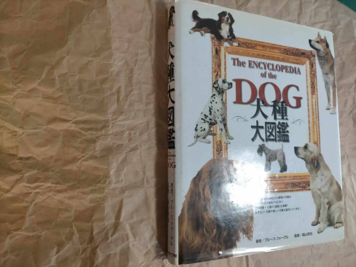 犬種大図鑑 ブルース・フォーグル 犬 いぬ イヌ 図鑑 辞典 犬種大図鑑 ブルース・フォーグル 犬 いぬ イヌ 図鑑 辞典