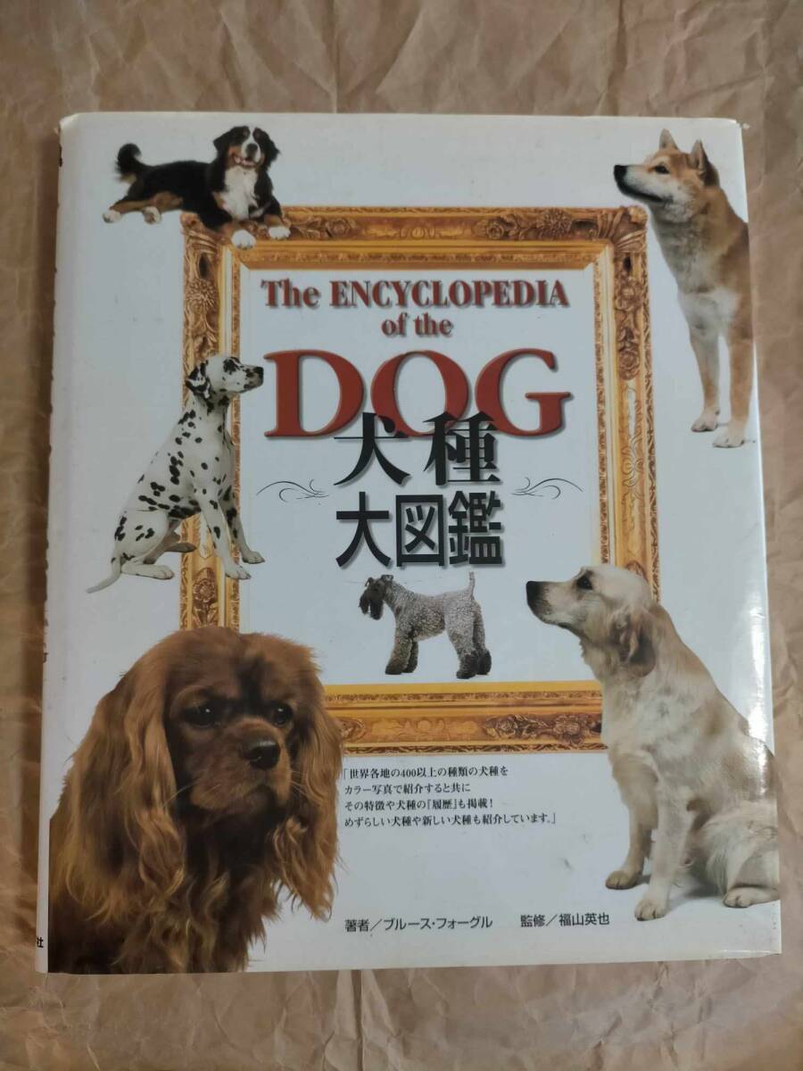 犬種大図鑑 ブルース・フォーグル 犬 いぬ イヌ 図鑑 辞典 犬種大図鑑 ブルース・フォーグル 犬 いぬ イヌ 図鑑 辞典