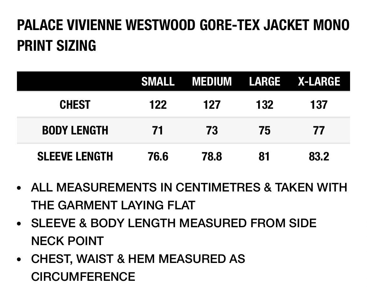 PALACE VIVIENNE WESTWOOD GORE-TEX JACKET XLサイズ パレス PALACE VIVIENNE WESTWOOD GORE-TEX JACKET XLサイズ パレス
