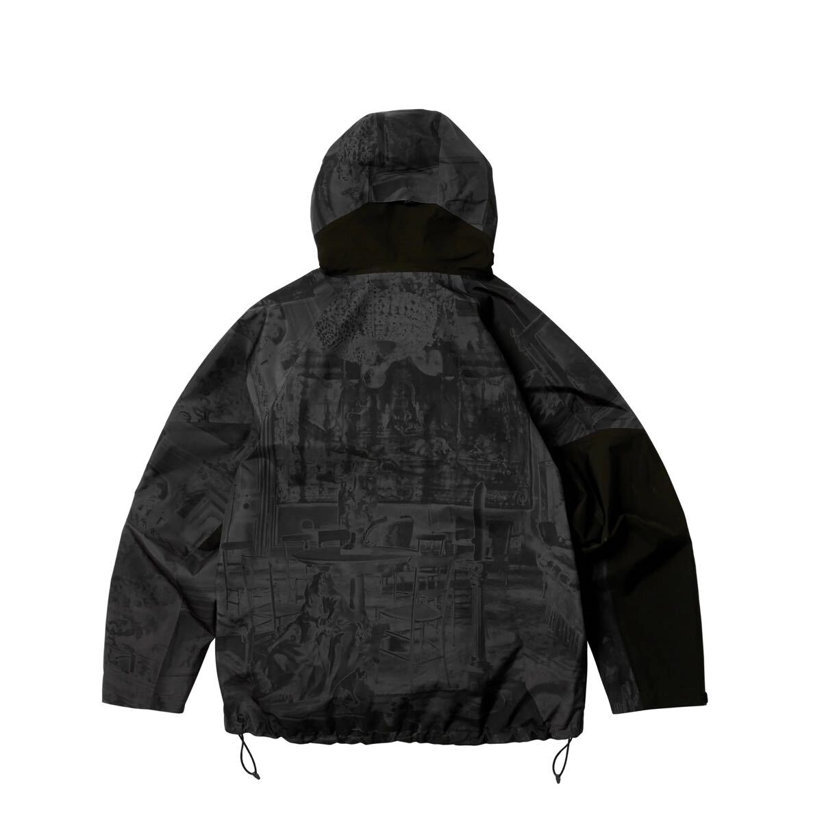 PALACE VIVIENNE WESTWOOD GORE-TEX JACKET XLサイズ パレス PALACE VIVIENNE WESTWOOD GORE-TEX JACKET XLサイズ パレス