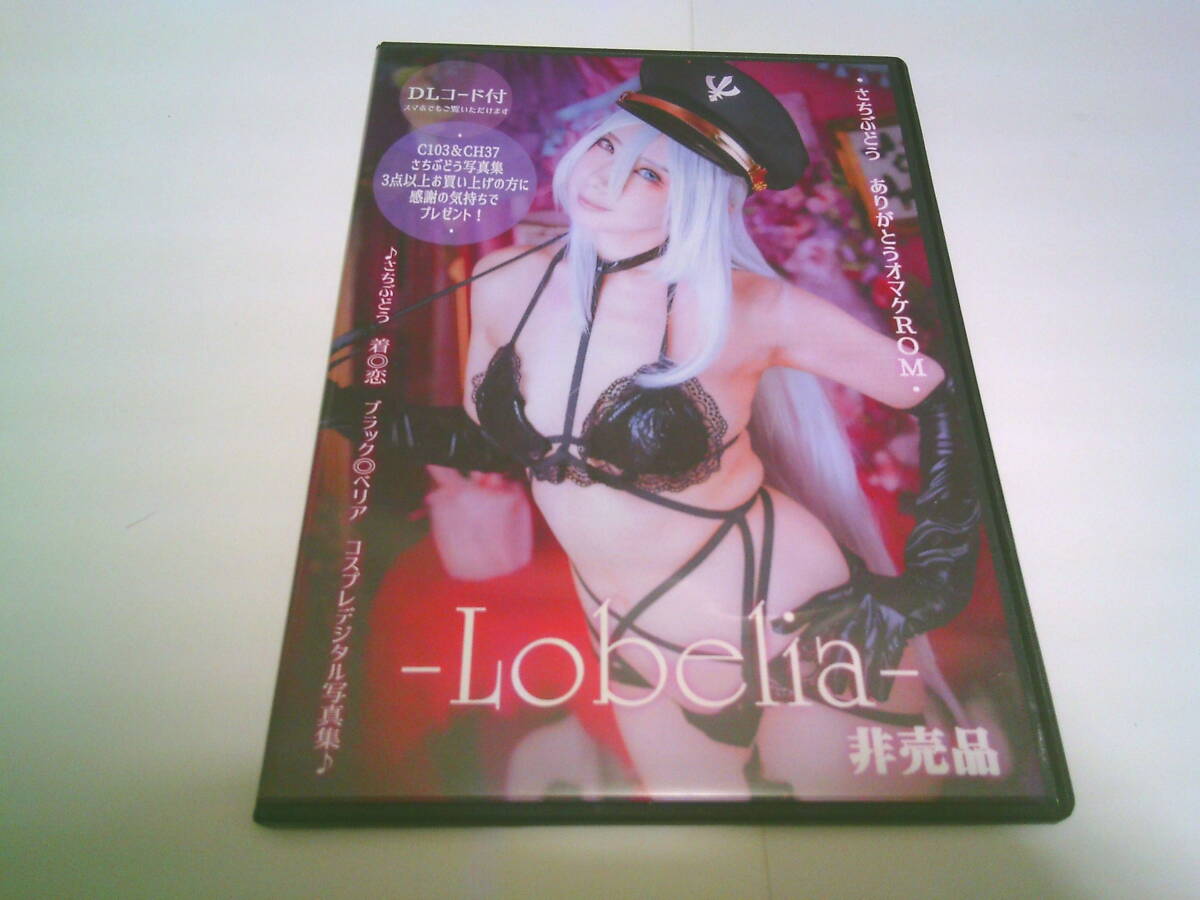 さちぶどう コスプレ写真集ROM「-Lobelia-」
