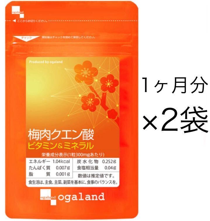 梅肉クエン酸 約2ヶ月分 30日分60粒入×2袋 オーガランド 梅肉クエン酸 約2ヶ月分 30日分60粒入×2袋 オーガランド