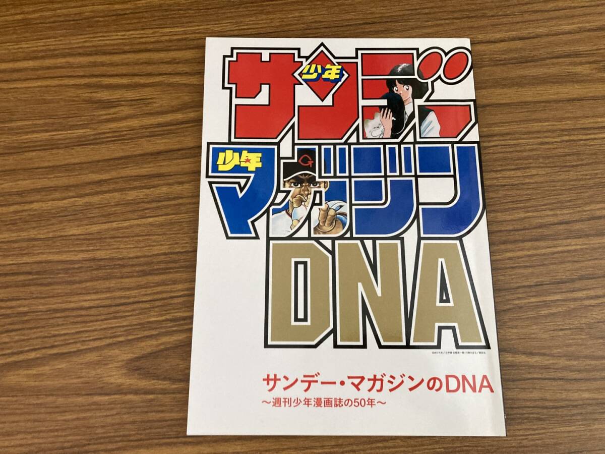 【年中無休】 超ポイントバック祭】 サンデー・マガジンのDNA 週刊少年漫画誌 イラスト集、原画集