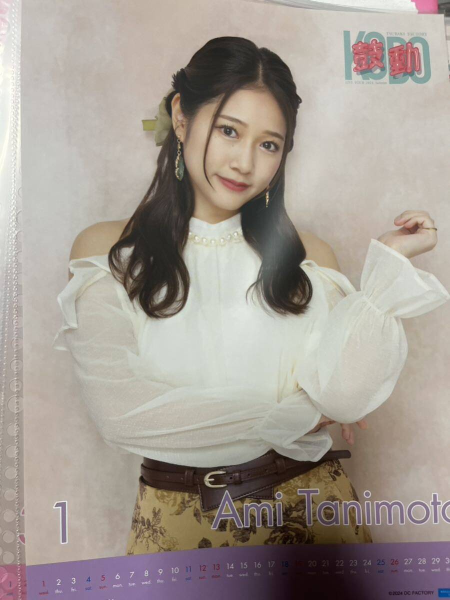 B238 イオン・リン子 ブロマイド B238 イオン・リン子 ブロマイド (商品ラインナップ|PINK ION
