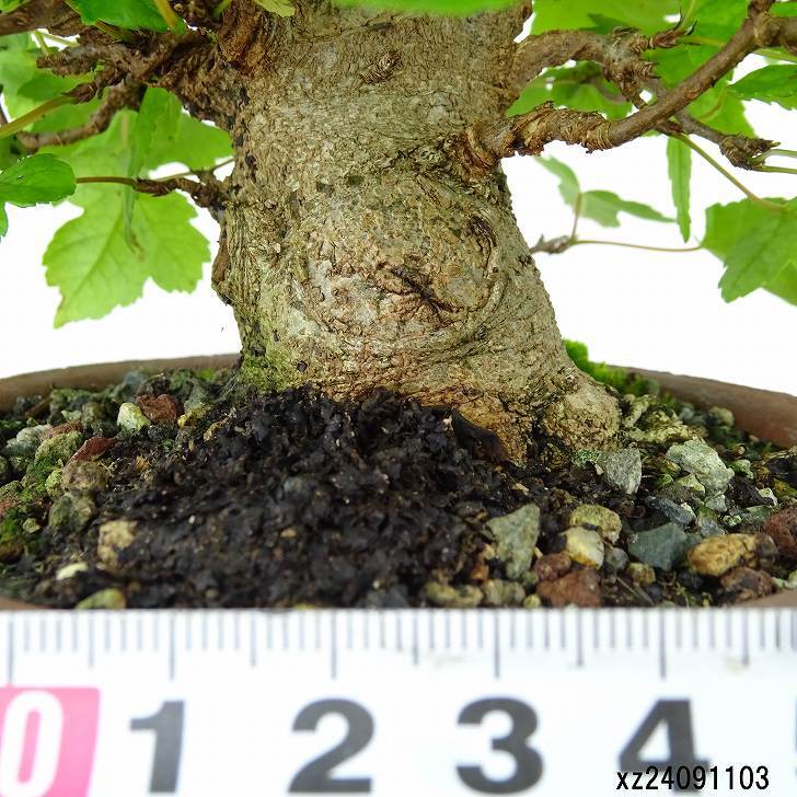 item_image_5