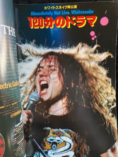 MUSIC LIFE ミュージック?ライフ 1981年8月號(hào) リッチー?ブラックモア ホワイトスネイク デヴィット?カヴァーデール　