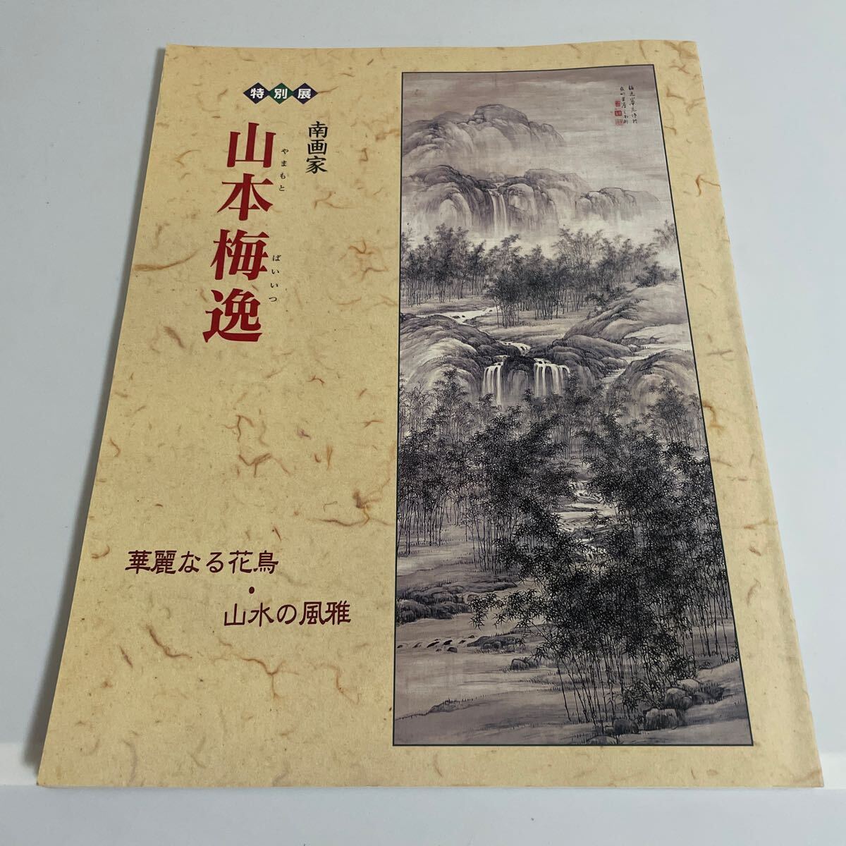 特別展 南画家 山本梅逸 華麗なる花鳥 山水の風雅 図録 画集 特別展 南画家 山本梅逸 華麗なる花鳥 山水の風雅 図録 画集