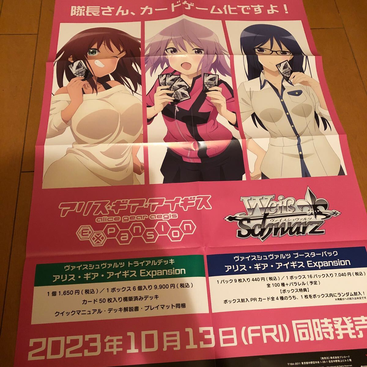 希少非売品販促用ポスター【アリス・ギア・アイギス】B2サイズ8 希少非売品販促用ポスター【アリス・ギア・アイギス】B2サイズ8
