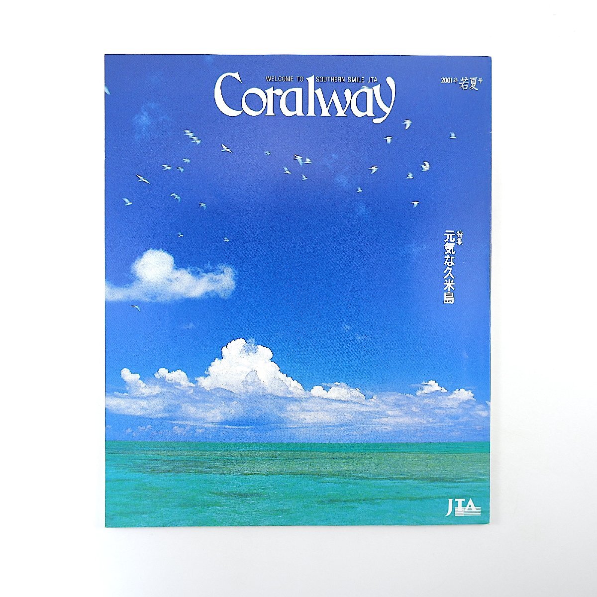 Coralway 2001 год . лето номер | изначальный ... рис остров высота .. мужчина море низ .... хорошо часть остров фотография дневник маленький . остров Dream z страна ... Ikezawa Natsuki коралл way JTA