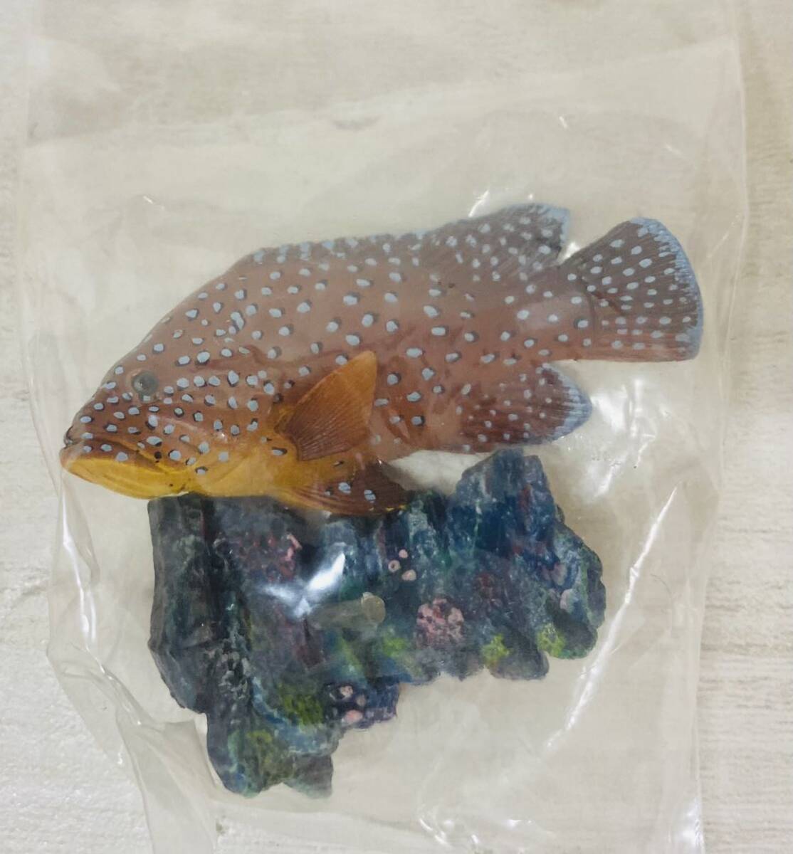9-33 YUJIN 原色図鑑シリーズ13 原色海水魚図鑑 名古屋港水族館 9-33 YUJIN 原色図鑑シリーズ13 原色海水魚図鑑 名古屋港水族館