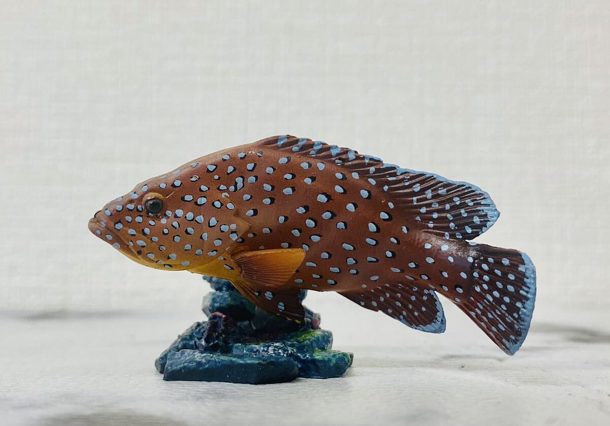 9-33 YUJIN 原色図鑑シリーズ13 原色海水魚図鑑 名古屋港水族館 9-33 YUJIN 原色図鑑シリーズ13 原色海水魚図鑑 名古屋港水族館