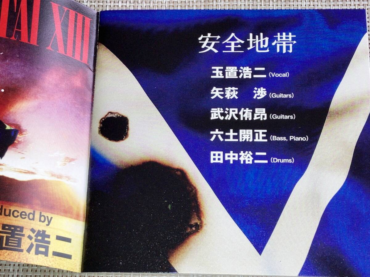 新品未開封】安全地帯 XIII JUNK (完全生産限定盤)[Analog