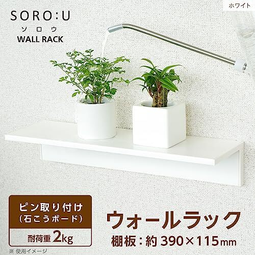 rek(LEC) SOROU wall rack width 390mm ( wood grain white ) / made in Japan / Driver un- necessary / water . strong resin made 