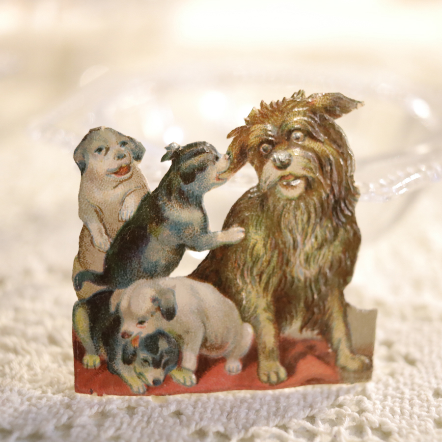 19世紀 フランスアンティーク クロモス わしゃわしゃ 犬 デコパージュ ペーパークラフト 紙もの ビンテージ ステッカー 古い #犬と子犬4匹_画像4