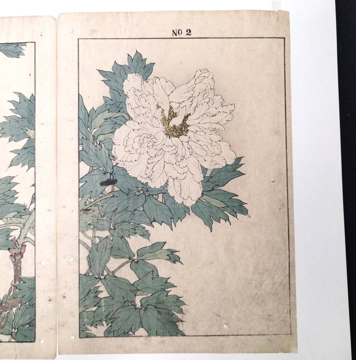 彩色木版画譜『教育子供のをしえ』明治20年代刊 鳥類画譜 明治 彩色木版画譜『教育子供のをしえ』明治20年代刊 鳥類画譜 明治