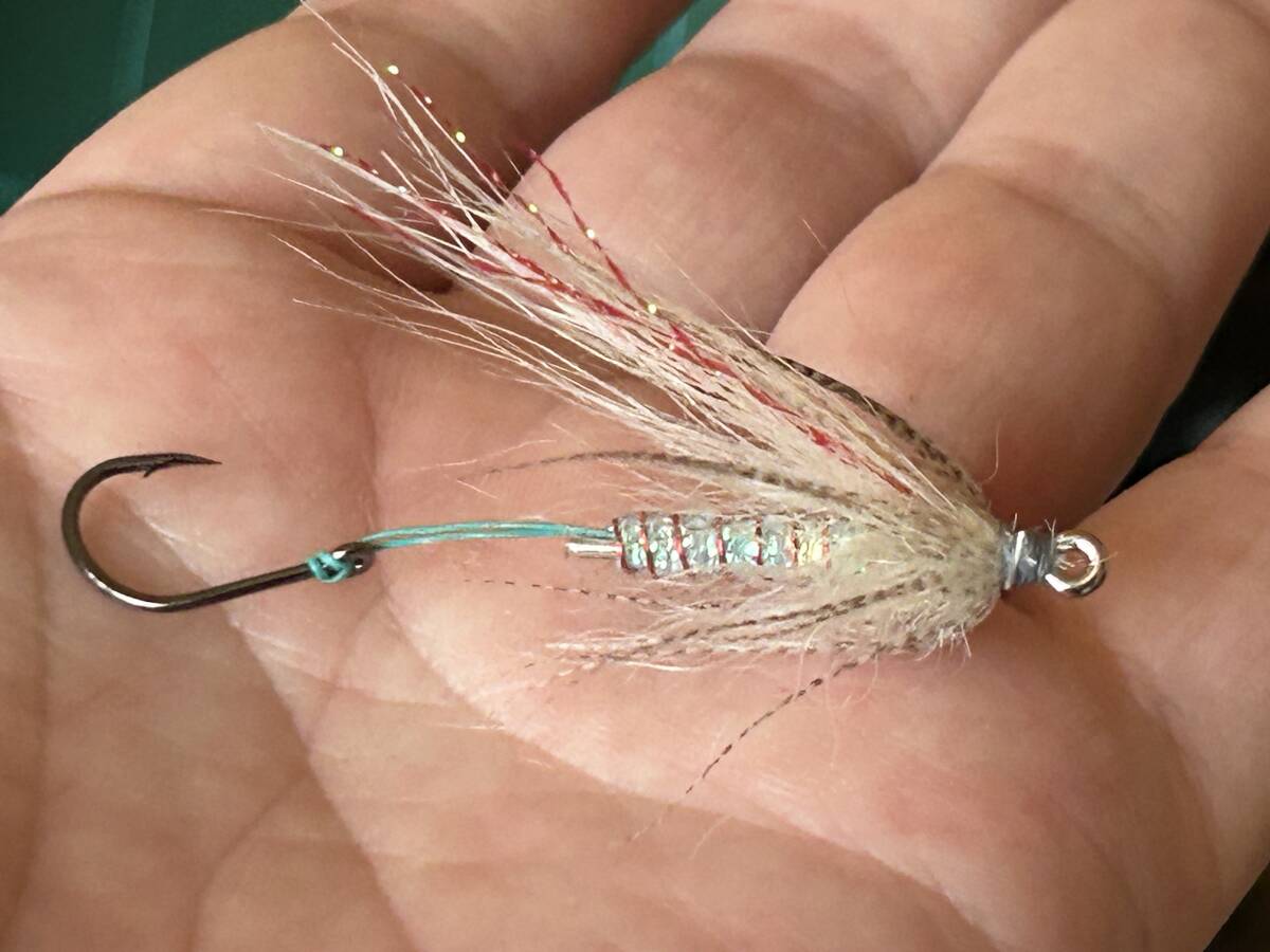 ◇ 即決 バリオス 1型 テールカウル 新品 バリウス BALIUS