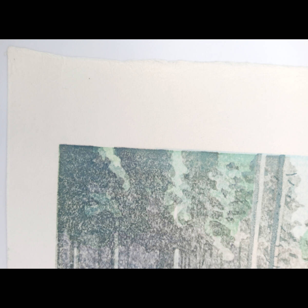 【真作】木版画 壬生川純一「倒木の森」限定ナンバー付き! 真作】木版画 壬生川純一「倒木の森」限定ナンバー付き 送料無料