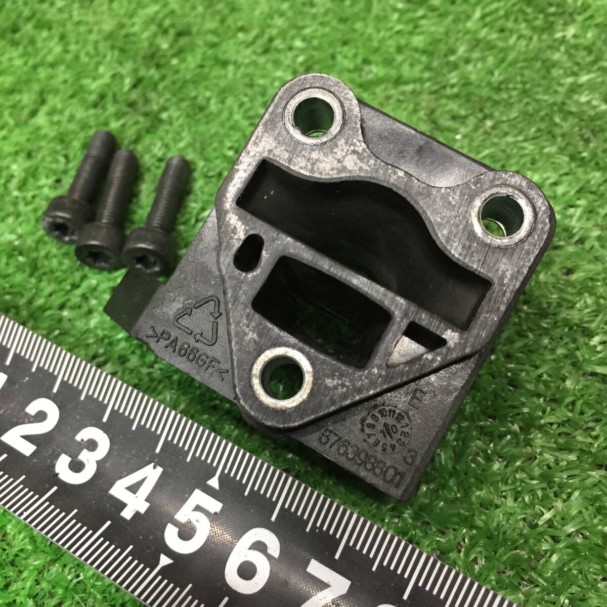 エボリスピナ サイド強鋸歯 陽炎+棚整理おまけ イチ押し！エボリスピナ 強鋸歯 陽炎+棚整理 おまけ アガベ