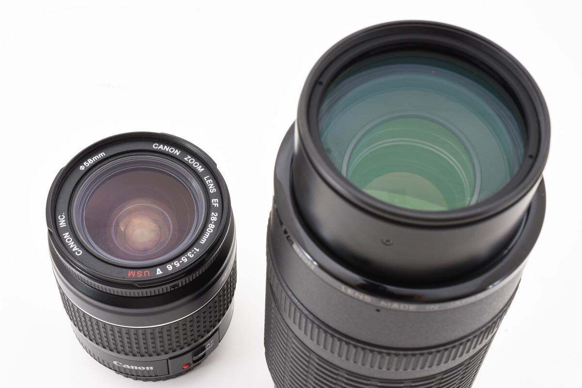 動作品/キヤノン デジタル一眼レフカメラ Canon EOS 5D mark III 動作品/キヤノン デジタル一眼レフカメラ Canon EOS 5D mark III