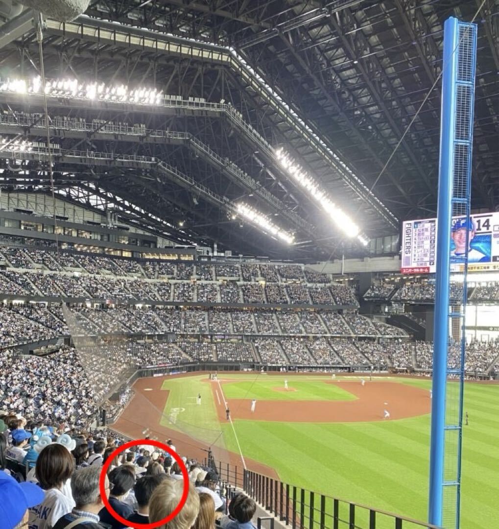エスコン 5/21 ファイターズvsホークス戦 連番2席 レフト側