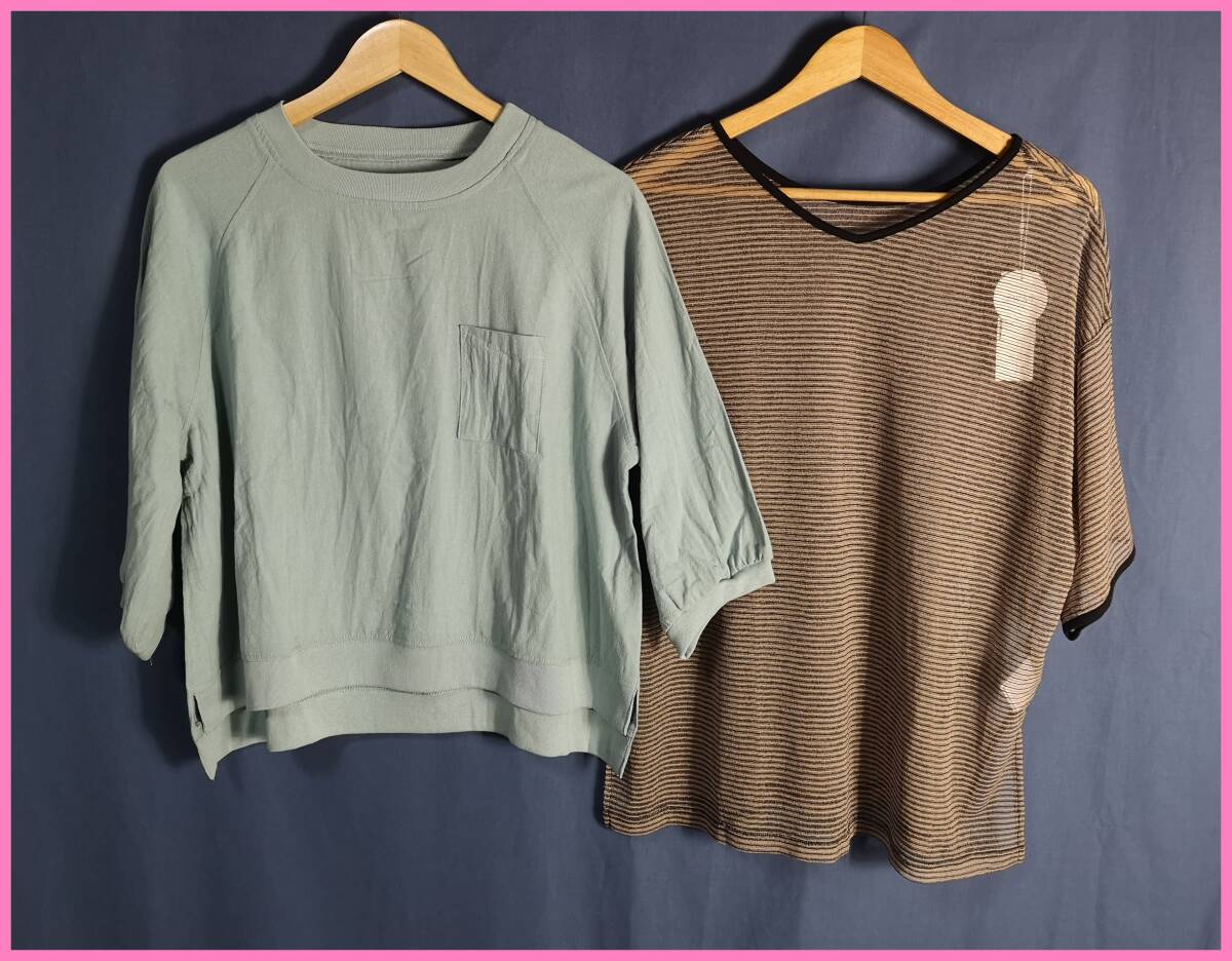 SET‐３９８☆夏☆新品☆送料込み☆即決☆ナチュラル系☆２枚セット☆Ｔシャツ☆Ｍ～Ｌサイズ☆ライトグリーン系とブラウン系シースルー