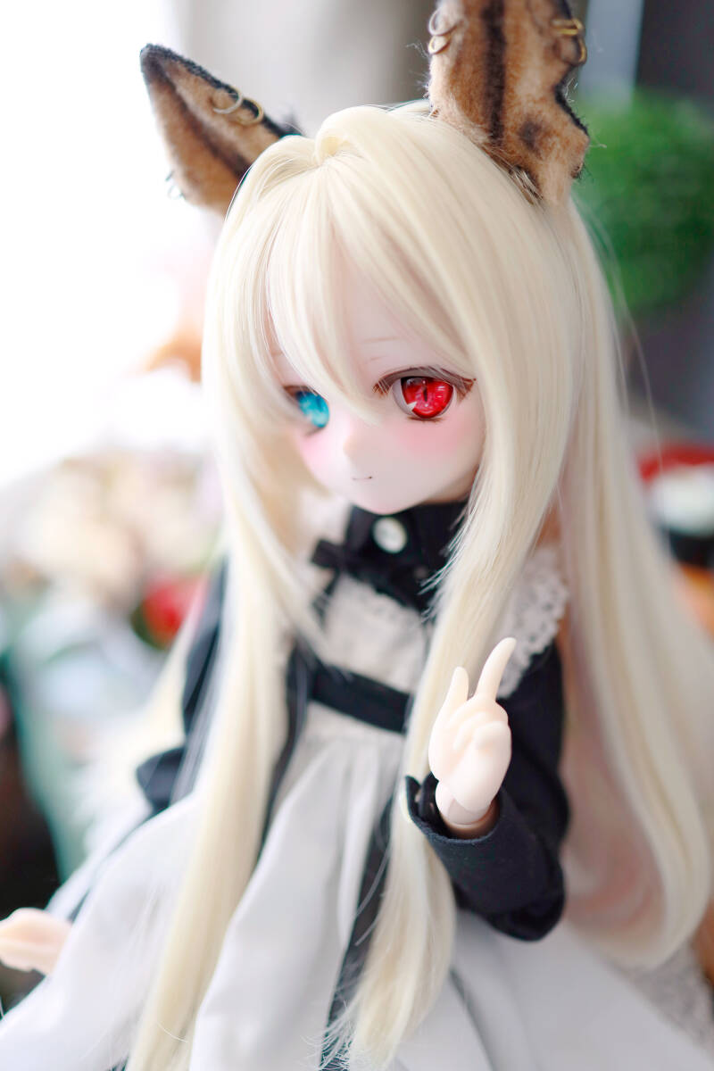 Yahoo!オークション - 【わにわ】DDH-01 カスタムヘッド セミ Yahoo!オークション - 【わにわ】DDH-01 カスタムヘッド セミ