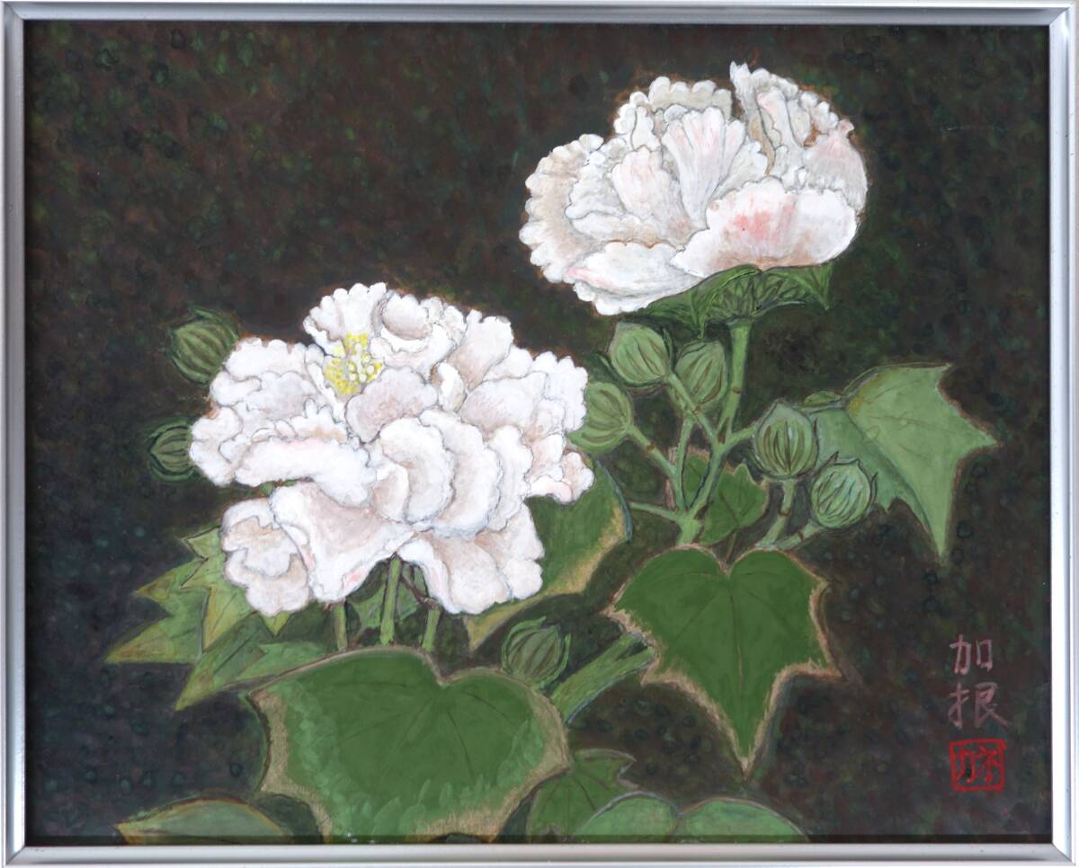 近代蕓術(shù)　ボタニカルアート 　水彩畫　真作保証＊作品名　不明　牡丹花　白牡丹 ＊作者　福田加根　カネ　KANE FUKUDA　 高級額裝品 　　