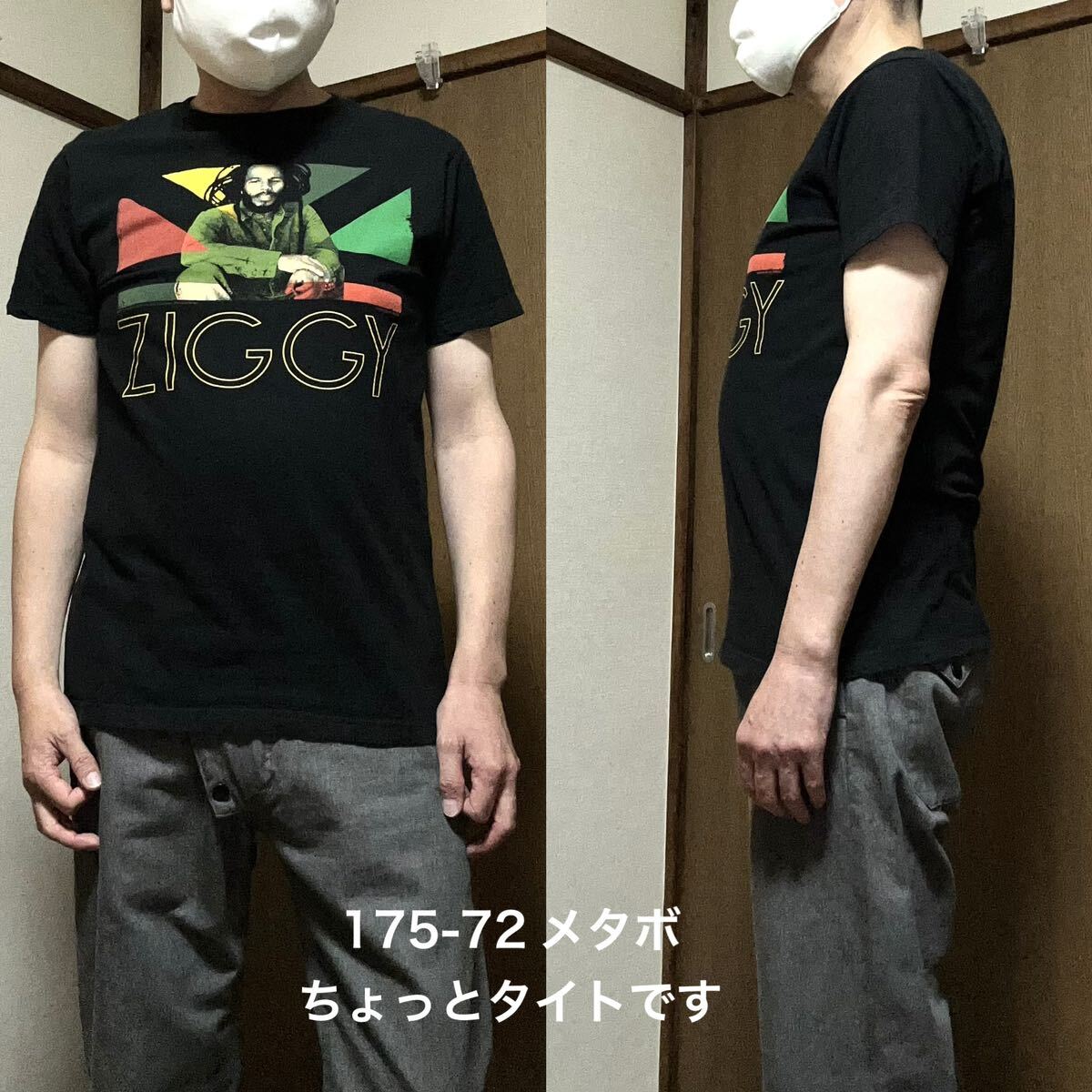 Mサイズ ジギー・マーリー Ziggy Marley 古着半袖Tシャツ 黒 Mサイズ ジギー・マーリー Ziggy Marley 古着半袖Tシャツ 黒