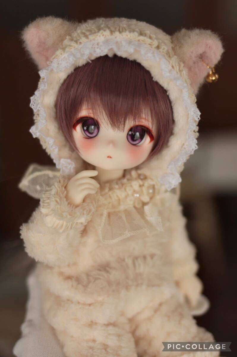 Yahoo!オークション - おねむ王国 tinyfox 01S白巧肌 カスタム Yahoo!オークション - おねむ王国 tinyfox 01S白巧肌 カスタム