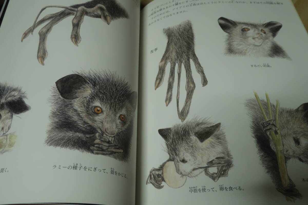 item_image_6