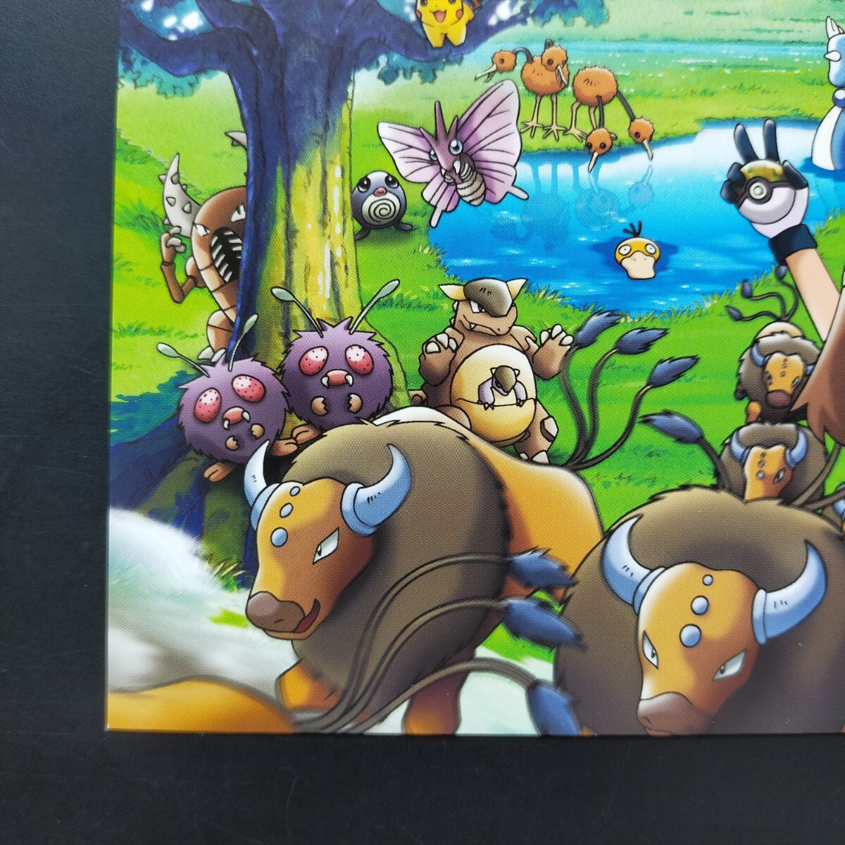 ポケモン わくわくサファリ ポストカード ポケパーク はがき ポケモン わくわくサファリ ポストカード ポケパーク はがき
