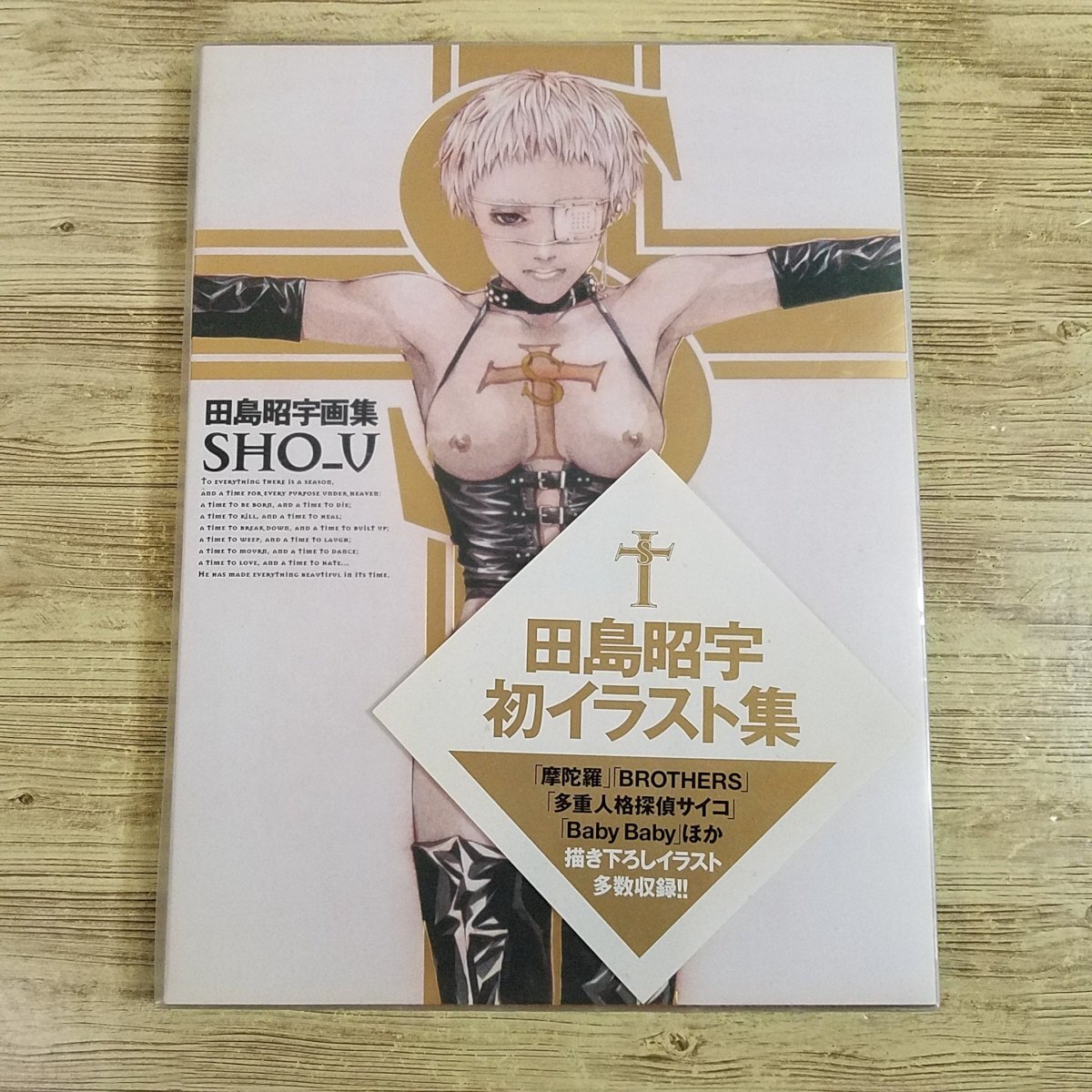 イラスト集[田島昭宇画集 SHO_U] マンガ関連 摩陀羅 BROTHERS Baby Baby 多重人格探偵サイコ他 描き下ろし多数【送料無料】