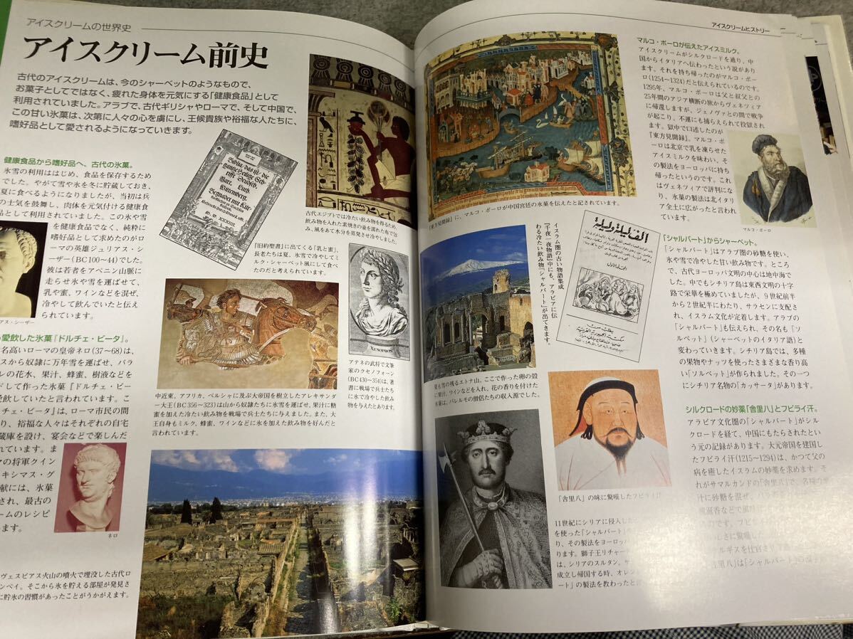 【希少】アイスクリーム図鑑　平成8 (1996)年　社団法人日本アイスクリーム協(xié)會(huì)発行　非売品