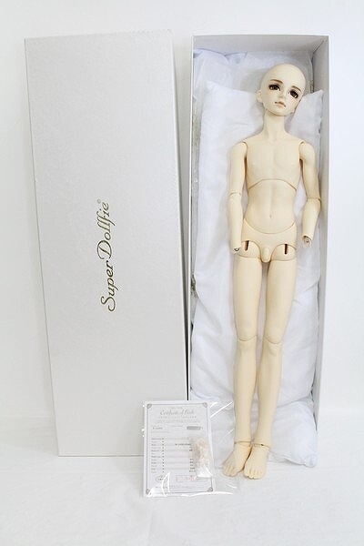 SDGrBOY/フルチョイス:F-40番ヘッド I-24-09-08-1003-TO-ZI SDGrBOY/フルチョイス:F-40番ヘッド I-24-09-08-1003-TO-ZI