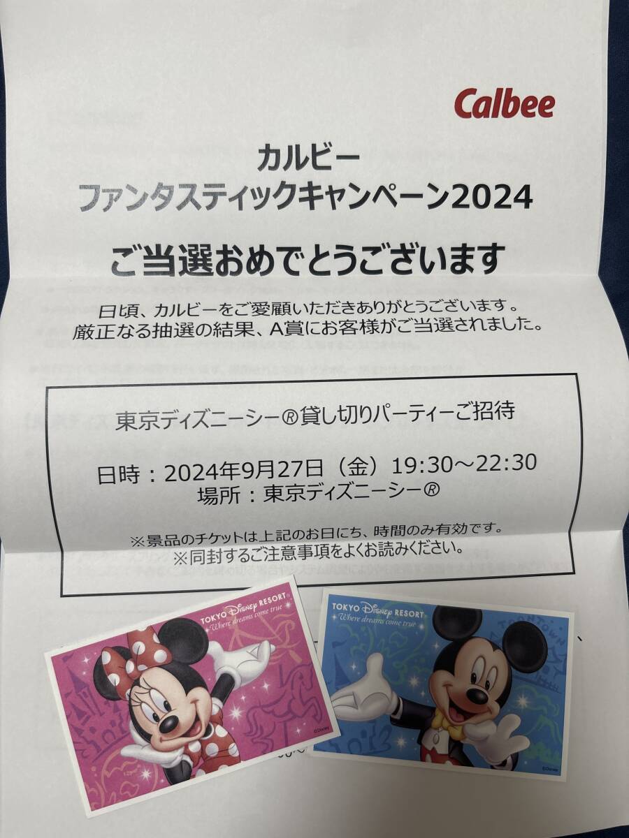 ディズニーシー プライベート・イブニング・パーティ・パスポート ペア
