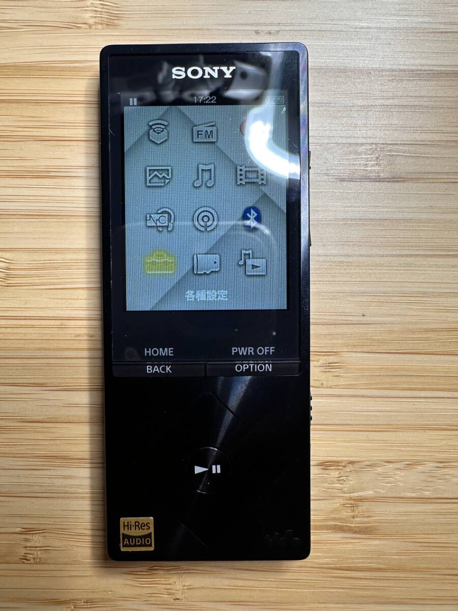 SONY ウォークマン NW-A17 Hi-Res 64GBメモリ＋マイクロSD Bluetooth ノイズキャンセリング FMラジオ 専用ケース