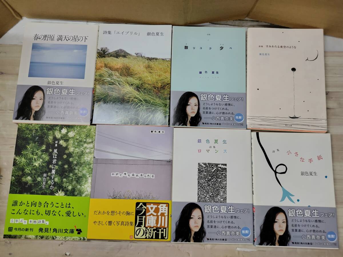 美品 本 銀色夏生 文庫 8冊 ロマンス 小さな手紙 春の野原 エイプリル 散リユク夕べ すみわたる夜空のような 風は君に属する やがて今も