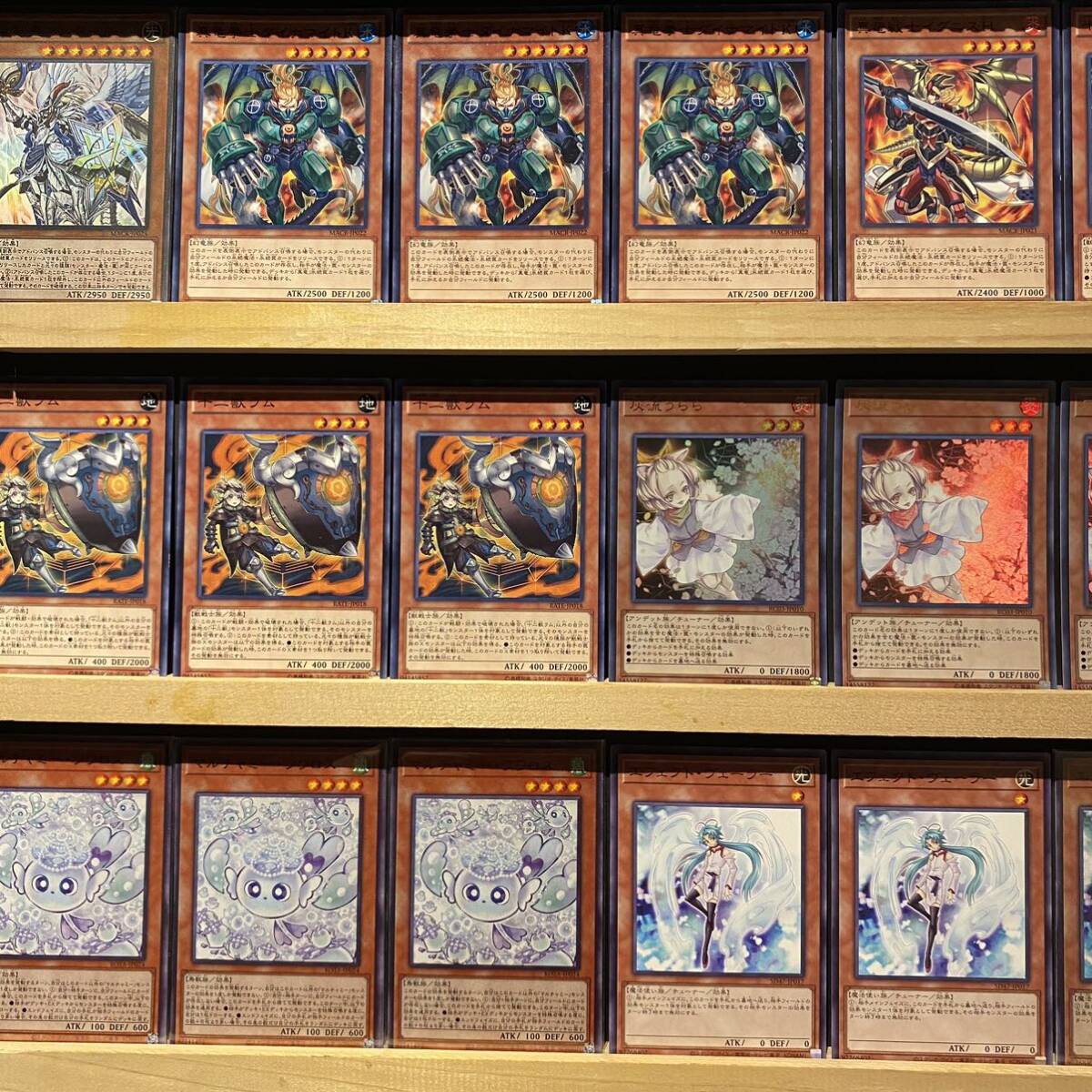 即日発送 十二獣真竜 デッキ 遊戯王 ドランシア サラブレード 天 即日発送 十二獣真竜 デッキ 遊戯王 ドランシア サラブレード 天