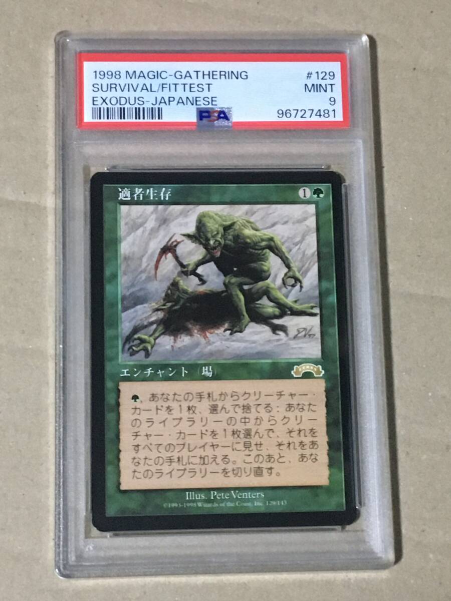 「大人気 新入荷 新品」に該当するファッション通販 送料込み 適者生存 MTG 日本語版 マジックザギャザリング マジック：ザ・ギャザリング