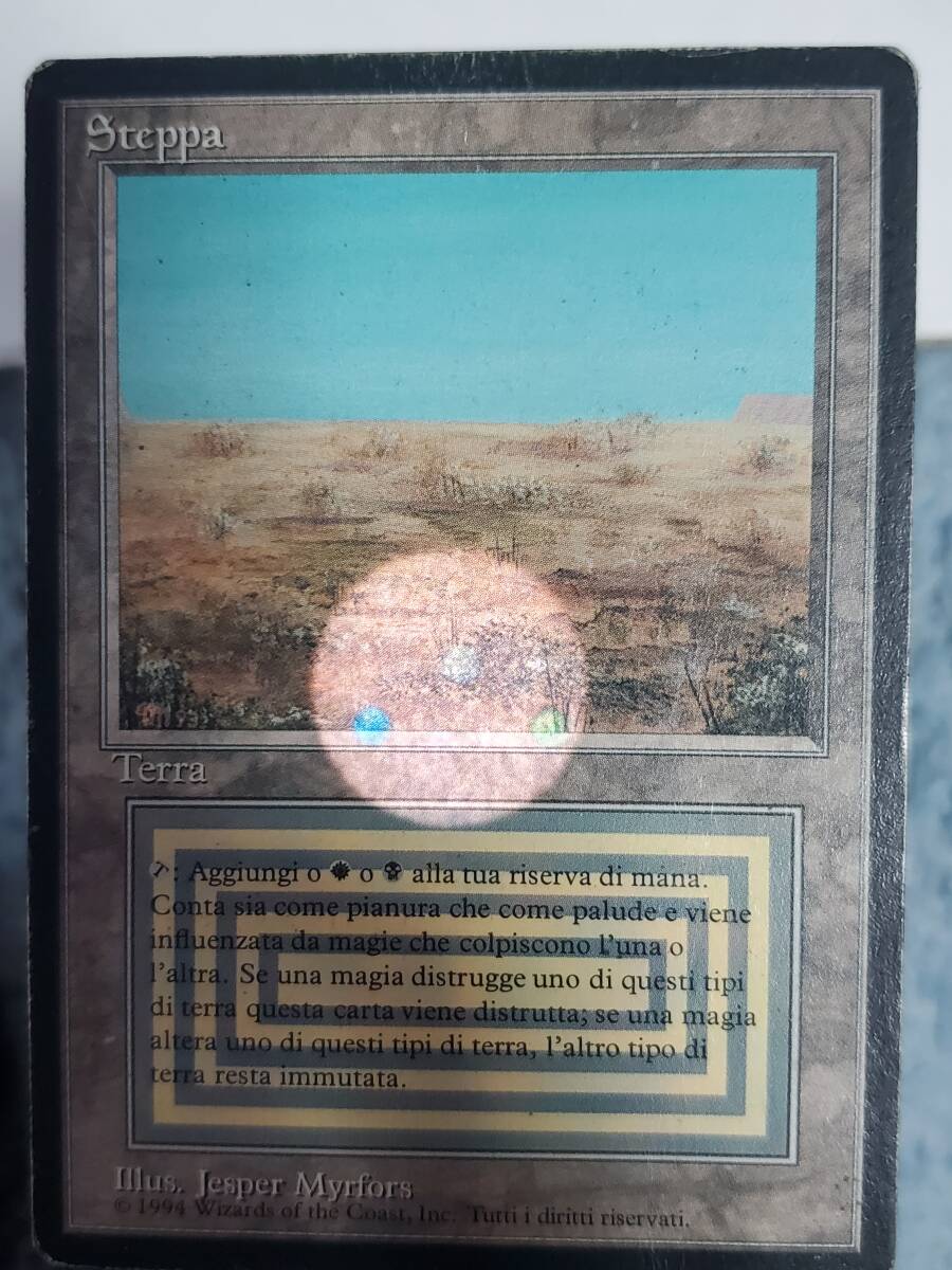 17000円 ○MTG○ RV Scrubland(黒枠伊語) その2 - 土地 17000円 ○MTG○ RV Scrubland(黒枠伊語) その2 - 土地