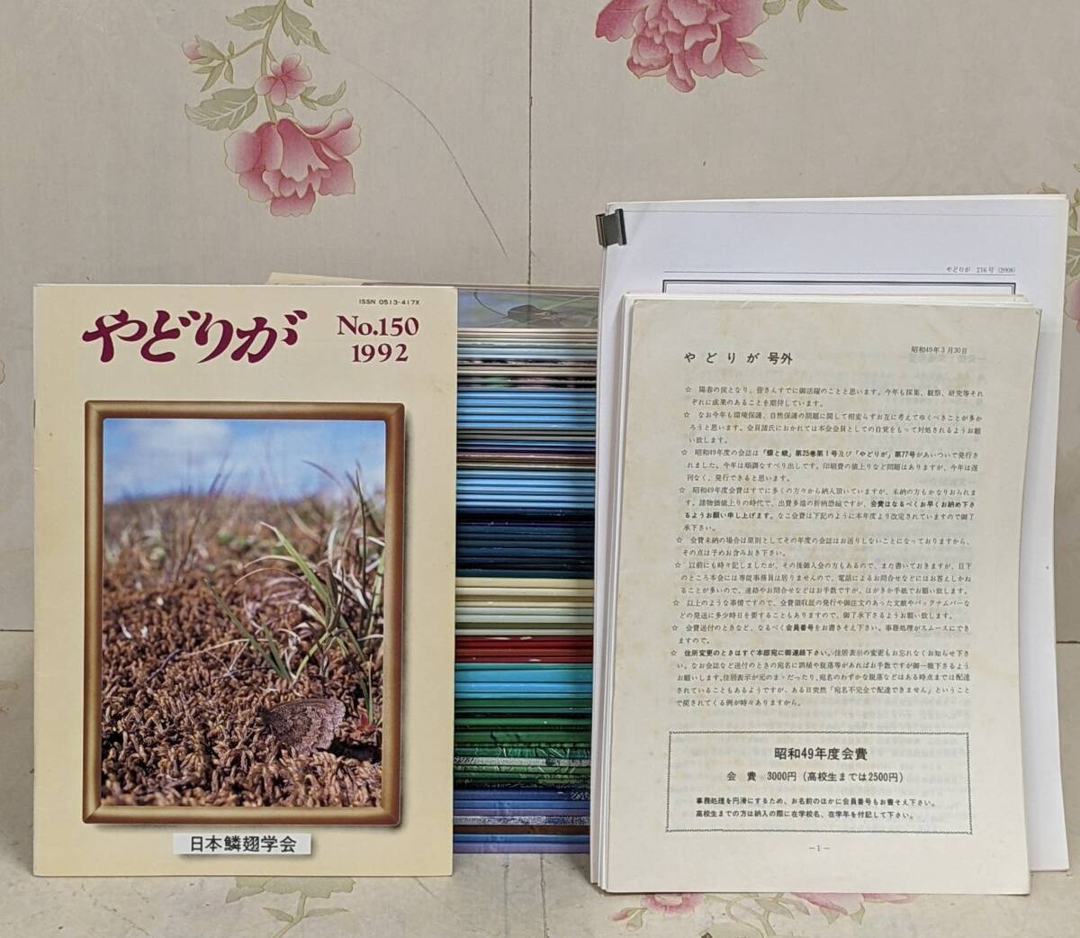 9L☆/やどりが 不揃いまとめて80冊以上セット/No150～No.231/1992年～2011年/日本鱗翅学会/ダブり有り
