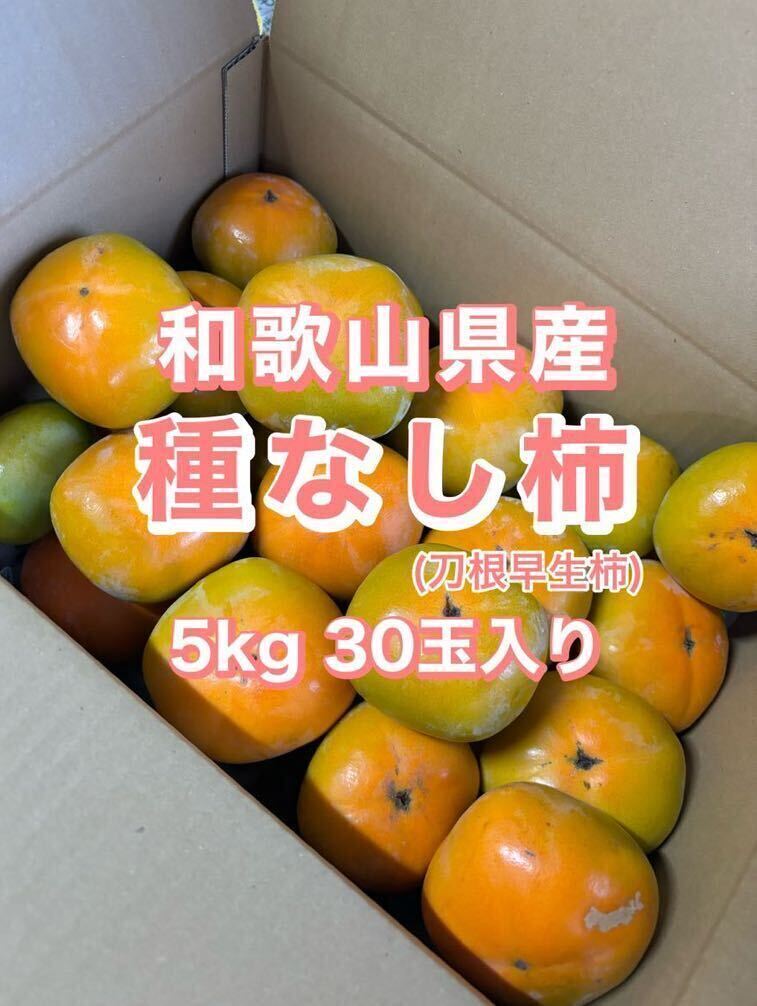 和歌山県産　たねなし柿(刀根早生柿)　5kg 30玉入り　訳アリ 家庭用　送料込み
