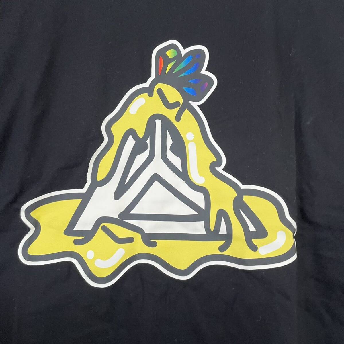 ◇ ENDRECHERI 堂本剛ライブ 半袖 Tシャツ サイズ表記なし