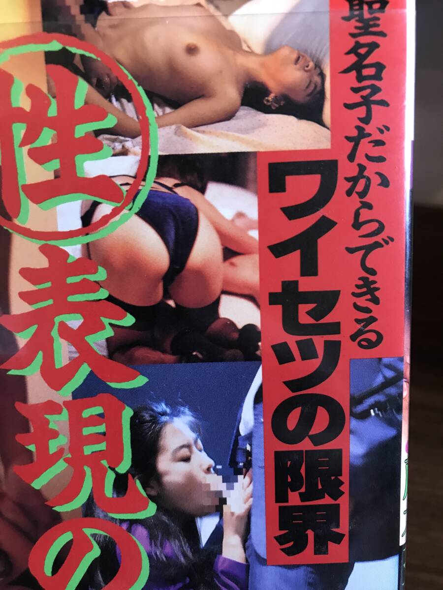 VHS 藤本圣名子 口全ワイセツ ９ 美乳 レアビデオ