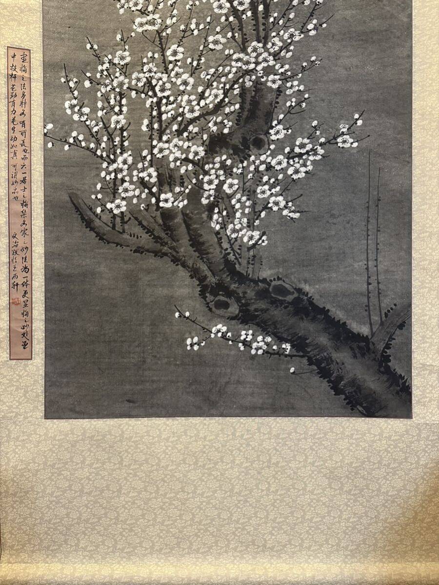 真作 唐寅 伯虎 「梅花之図」 古い掛け軸 掛軸 肉筆 紙本 中国画 真作 唐寅 伯虎 「梅花之図」 古い掛け軸 掛軸 肉筆 紙本 中国画