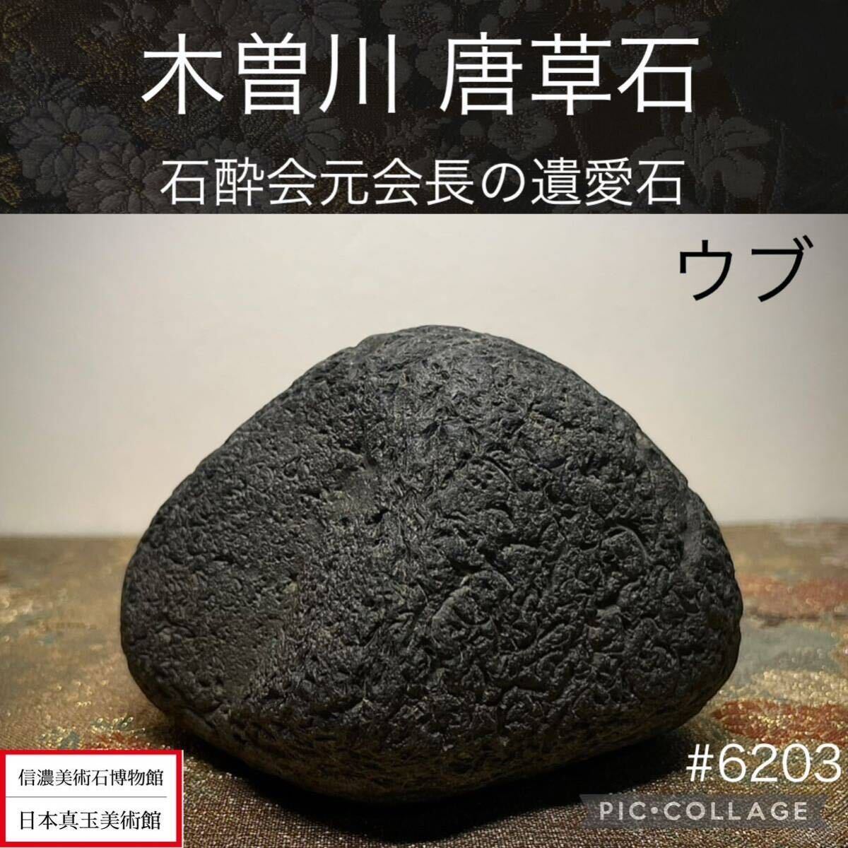 信濃美術石博物館 水石 盆栽 木曽川 唐草石 ウブ 石酔会元会長の 信濃美術石博物館 水石 盆栽 木曽川 唐草石 ウブ 石酔会元会長の