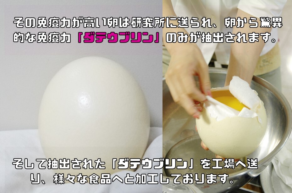 ダテウブリン配合 米ぬかパウダー 100g×10袋 産學(xué)連攜商品 ダチョウ卵黃抽出物 食用 國(guó)內(nèi)制造 冢本康浩博士 低糖質(zhì) 米糠
