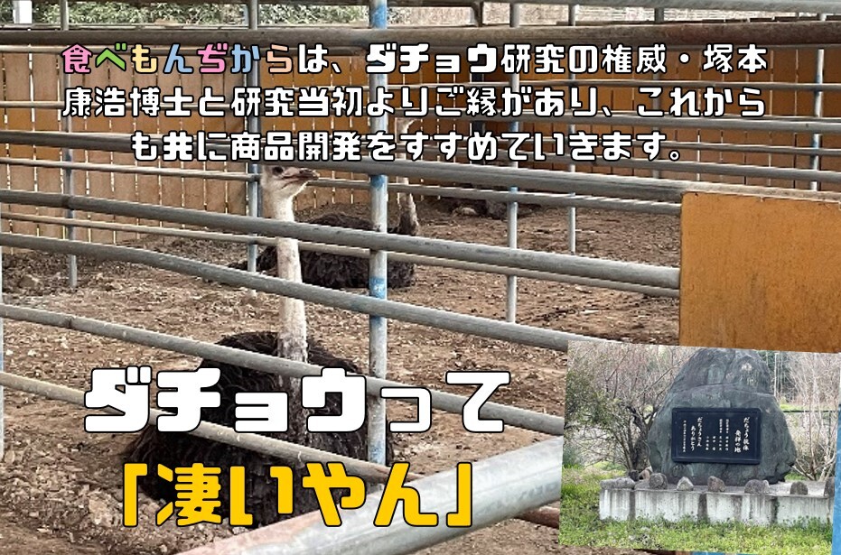 ダテウブリン配合 米ぬかパウダー 100g×10袋 産學(xué)連攜商品 ダチョウ卵黃抽出物 食用 國(guó)內(nèi)制造 冢本康浩博士 低糖質(zhì) 米糠