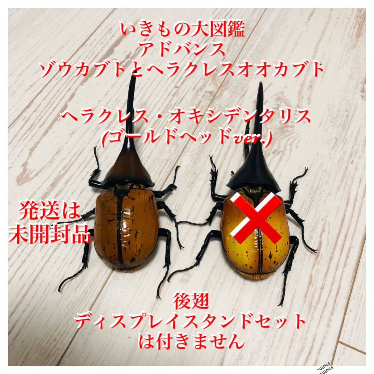 いきもの大図鑑 アドバンス ゾウカブトとヘラクレスオオカブト いきもの大図鑑 アドバンス ゾウカブトとヘラクレスオオカブト